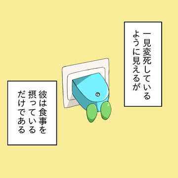 アイコンとホーム画