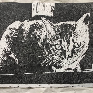 ねこ