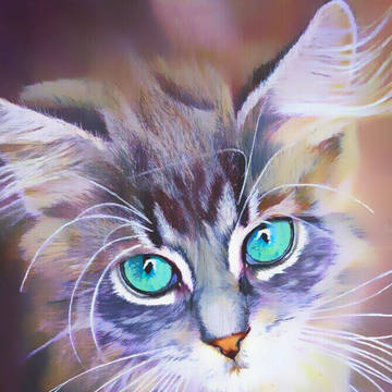 Purple Cat