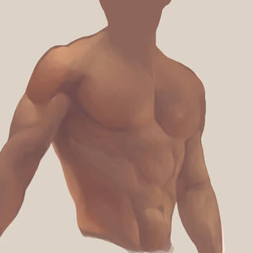 Torso Color Study