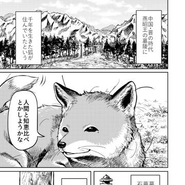 千年狐