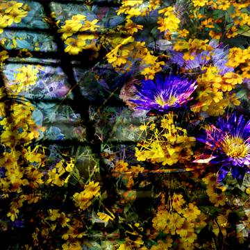 flowers3