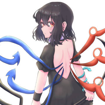 正体不明