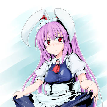 めいどんげ