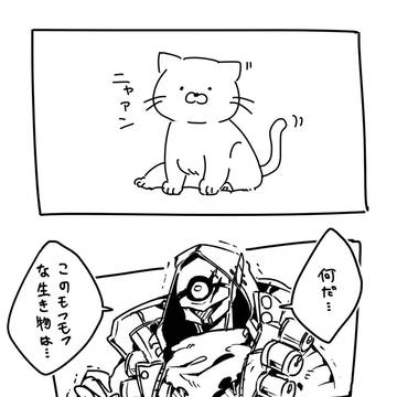 ネコチャン