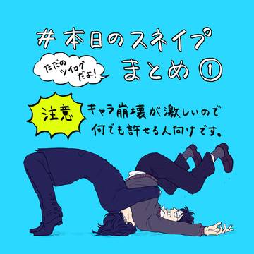 本日のスネイプまとめ①