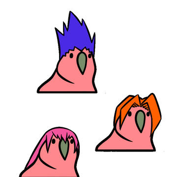 Harpie parrot