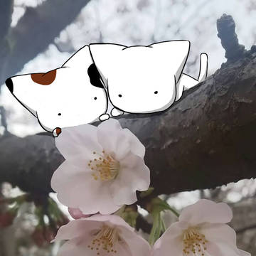 ねこさんログ3