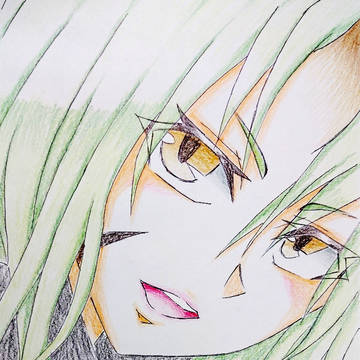 ホシグマ