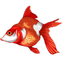 ドット絵で金魚
