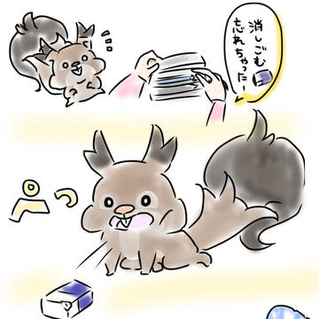 4次元ほおぶくろホシガリス