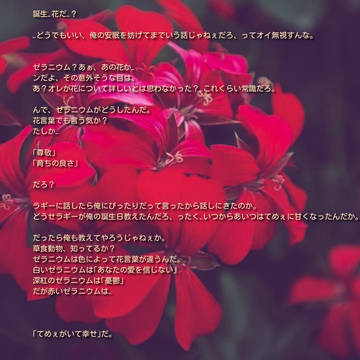 誕生花を貴方に。