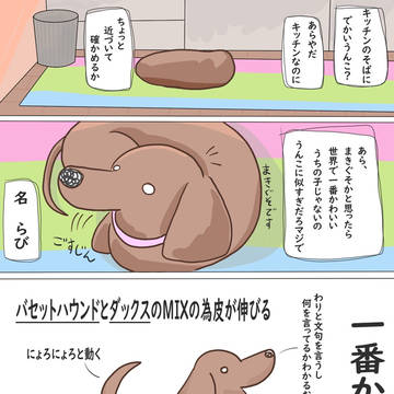 うちの子1番うんこ