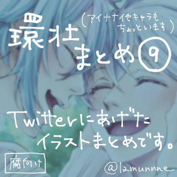 環壮まとめ⑨