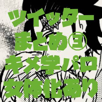 炭善♀ツイッターまとめ③ キメ学パロ