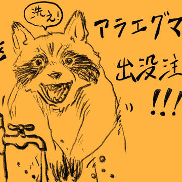 アラエグマ出没注意！