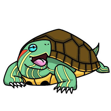 アカミミガメ