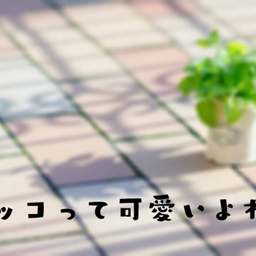 ラッコって可愛いよね