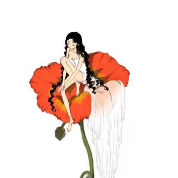 Poppy