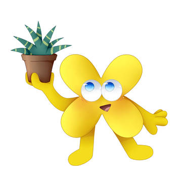 BFB19 X