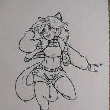 cattyboy