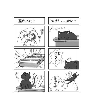初めての四コマ漫画