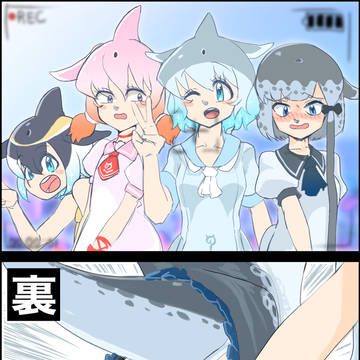 セクハライルカ