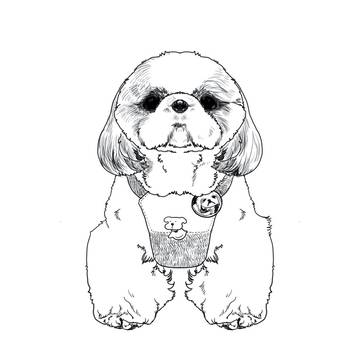 いぬ
