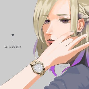 ヴィル・シェーンハイト