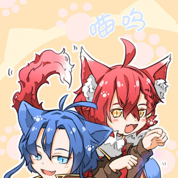 貓