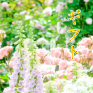 ギフト