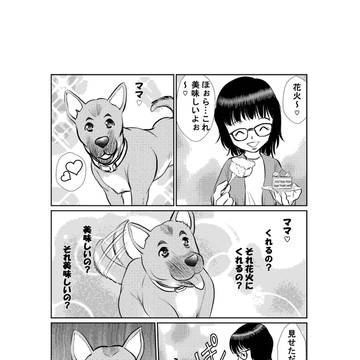 見せるだけ