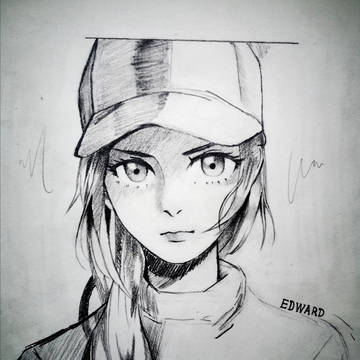 插画
