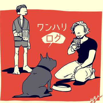 わんはり。