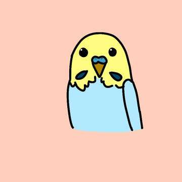 セキセイインコ(レインボー)