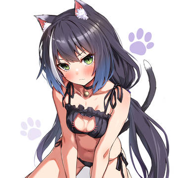 猫キャル