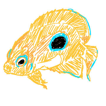 コガネヤッコの下書き
