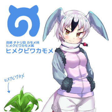 ヒメクビワカモメちゃん