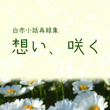 通販のお知らせ