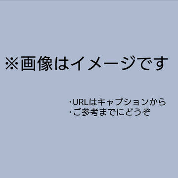 小説内主人公の容姿等