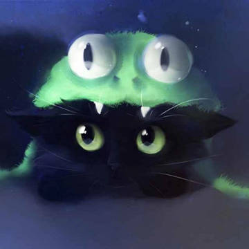 black cat
