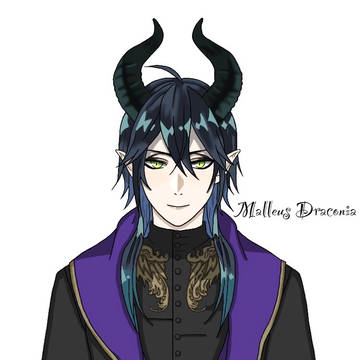 式典服マレウス🐲