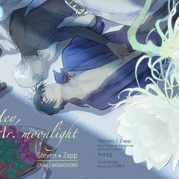 Hey,Mr.Moonlight　表紙