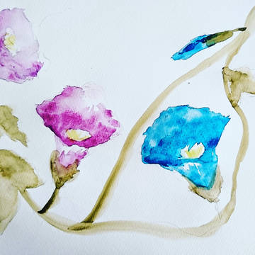 水彩画 朝顔 2