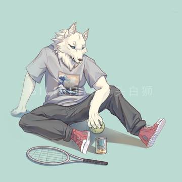 网球狼狼