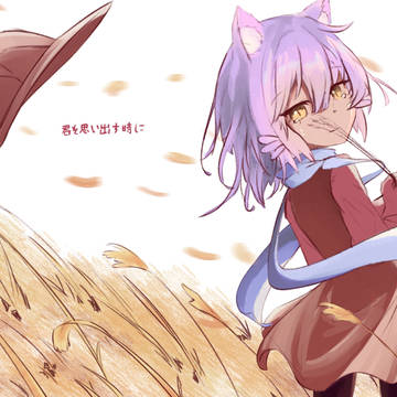 アニメのようになったニコ