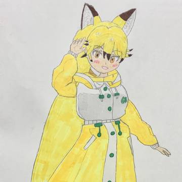 雨合羽キタキツネ