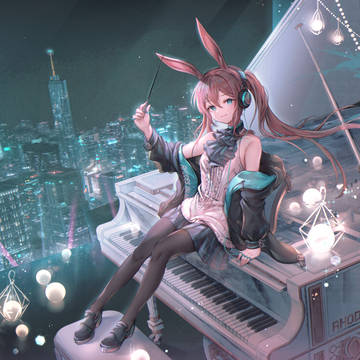 🐰🌃🌙