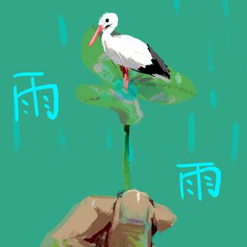 雨　梅雨　雨