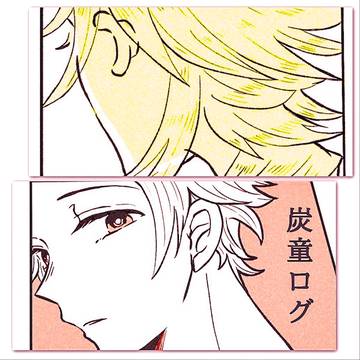 炭童ログ